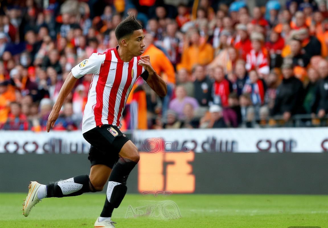 费兰托雷斯：足球天才的成长之路与未来展望(图2)